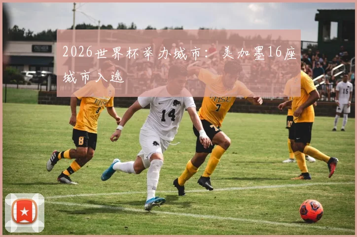 2026世界杯举办城市：美加墨16座城市入选