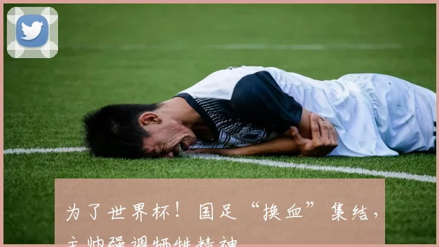 为了世界杯！国足“换血”集结，主帅强调牺牲精神