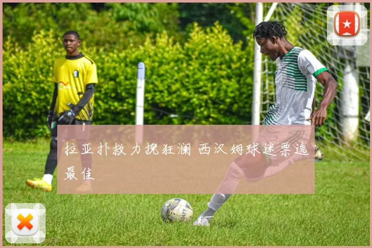 拉亚扑救力挽狂澜 西汉姆球迷票选最佳