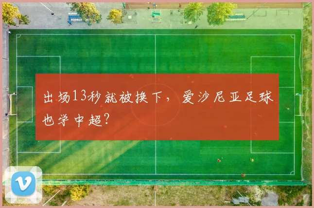 出场13秒就被换下，爱沙尼亚足球也学中超？