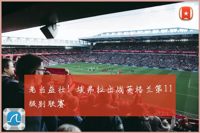 老当益壮！埃弗拉出战英格兰第11级别联赛