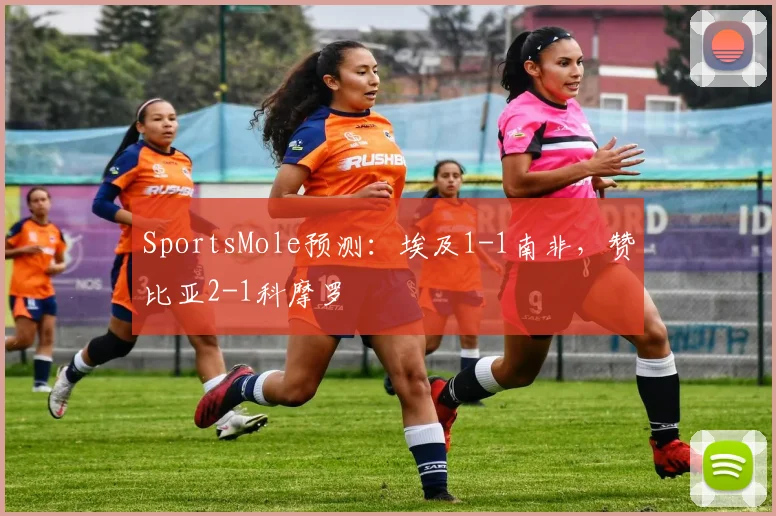 SportsMole预测：埃及1-1南非，赞比亚2-1科摩罗