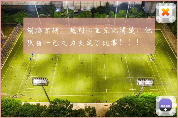 胡梅尔斯：裁判心里无比清楚，他凭借一己之力决定了比赛！！！
